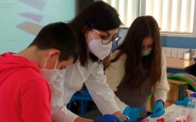 11F – Workshop at school “Solar cells with red fruits”
