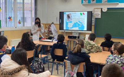 11F – Workshop at school “Solar cells with red fruits”
