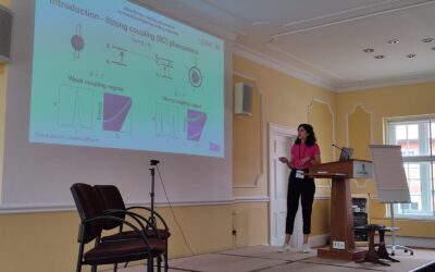 The Complex Nanophotonics Science Camp, August 2nd-5th (Windsor, UK)