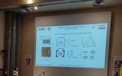 The Foremost Photonics 2022, October 10-14th (Erice, Italy)